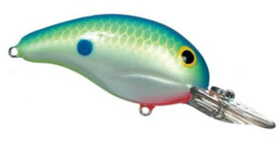 Bandit Dr 1/4-2" Citrus Shad