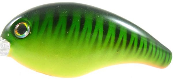 Sk Bitsy Mino 1/8 1.25" Fire Tiger