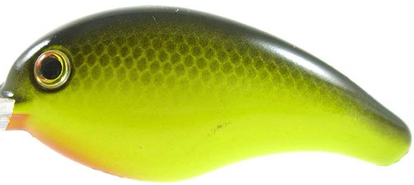 Sk Bitsy Mino 1/8 1.25" Blk/Cht
