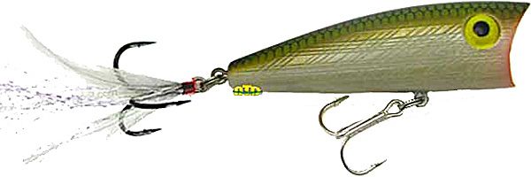 Reb Pop'R 1/4 2.5"-Tenn Shad