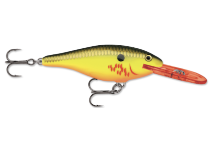 Rapala Shad Rap 05 Bleeding Hot Olv