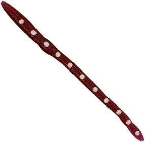 Crem Scound 6" 3Pk-Pur/Wht Dots