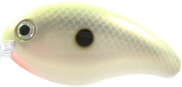 Sk Bitsy Mino 1/8 1.25" Cht/Wht