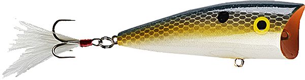 Reb Pop'R 1/4 2.5"-Foxy Shad