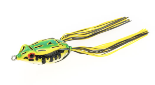 Sk Kvd Sexy Frog Leopard Frog