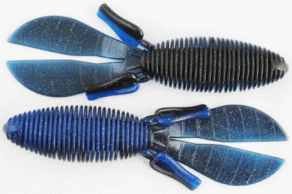 Miss D Bomb 4.5" 6Pk Bruiser Flash
