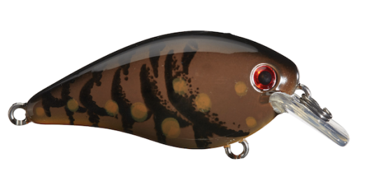 Sk Kvd Square Bill 1.5 Brown Craw
