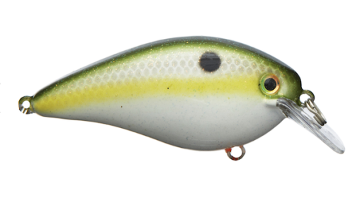 Sk Kvd Square Bill 1.5 Olive Shad