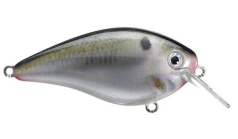 Sk Kvd Square Bill 2.5 Natural Shad