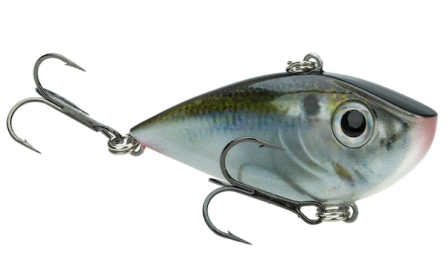 Sk Redeye Shad Tung 2 Tap Nat Shad