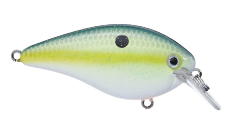 Sk Kvd 1.5 Hrd Knock Chart Sxy Shad
