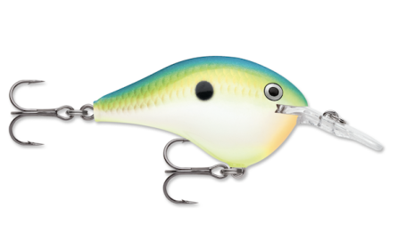 Rapala Dives-To 16 Citrus Shad