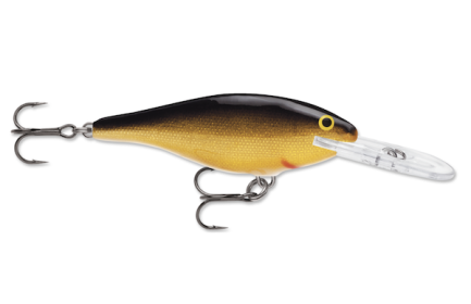 Rapala Shad Rap 04 Gold