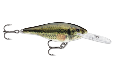 Rapala Shad Rap 05 Live Lrgmth Bass