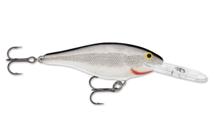 Rapala Shad Rap 05 Silver