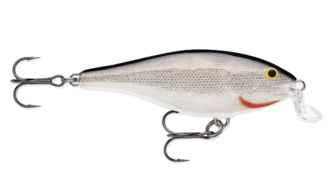 Rapala Shallow Shad Rap 05 Silver