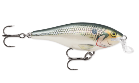 Rapala Shallow Shad Rap 07 Shad