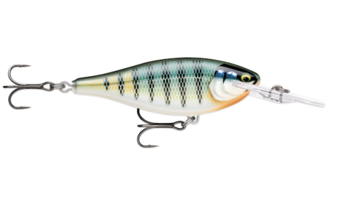 Shad Rap Elite 55 Gilded Blue Gill