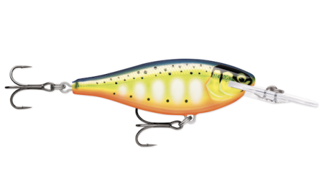 Shad Rap Elite 55 Gilded Hot Steel