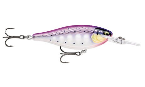 Shad Rap Elt 55 Gild Purpledescent