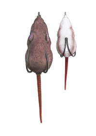 Lh Furenzy Mouse Red Squirrel 2 In